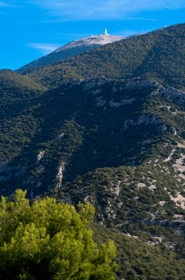 Hiking Mont Ventoux